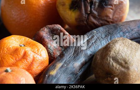 Verfaulte Früchte auf einem Bambusbrett in Nahaufnahme. Alte Zitrusfrüchte. Das Essen war verdorben. Stockfoto