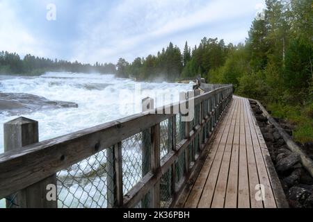 Storforsen, wilder, riesiger Wasserfall am Pite River in der schwedischen Arktis an einem sonnigen Tag im arktischen Sommer. Norrbottens Gebiet, nordwestlich von Alvsbyn. Wild Stockfoto