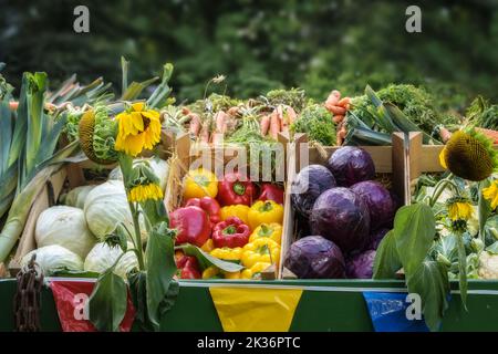 Frisches Bio-Gemüse wie Paprika und verschiedene Kohl auf einem Landmarkt, Konzept für Ernte, Landwirtschaft und gesunde landwirtschaftliche Lebensmittel, ausgewählt Stockfoto
