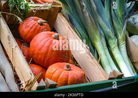 Bio Hokkaido Kürbis oder Red Kuri Squash und Lauch in Kisten, frisch geerntetes Gemüse zum Verkauf auf einem Bauernmarkt, ausgewählter Fokus, enge Tiefe Stockfoto