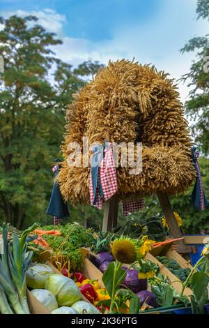 Erntekrone aus verschiedenen Getreidesorten für Thanksgiving gebunden, über verschiedenen frisch geernteten Gemüse gegen grüne Bäume und einen blauen Himmel aufgestellt, selec Stockfoto