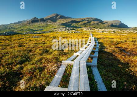 Holzwanderung durch Sumpfgebiete zum Nieras Massive im Stora Sjofallet National Park, Schweden. Goldene Stunde in der schwedischen Arktis auf einer schönen Stockfoto