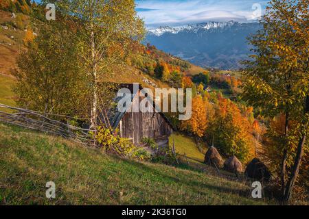 Malerische ländliche Herbstlandschaft und bunte Laubbäume am Hang. Haystacks im Garten auf dem Hügel bei Sonnenuntergang, Karpaten, Siebenbürgen Stockfoto