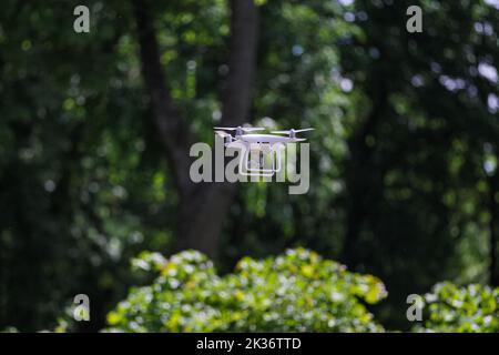 Ein Quadrocopter mit einer Digitalkamera schwebte über den Büschen im Wald Stockfoto