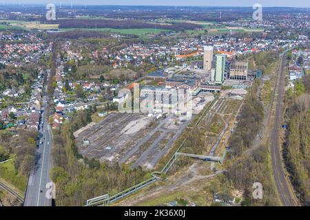 Luftaufnahme, Rückbau der Zeche Westerholt, ehemalige DSK Lippe Mine, Westerholt, Herten, Ruhrgebiet, Nordrhein-Westfalen, Deutschland, DE, Europa, Stockfoto