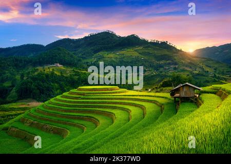 Wunderschöne Reisterrassen am Mam xoi Aussichtspunkt in Mu cang Chai, Vietnam. Stockfoto