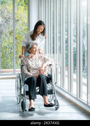 Glückliche asiatische ältere Frau, Mutter oder Großeltern im Rollstuhl, die sich um die Pflege von Betreuern kümmern, lächelnde junge Frau, Tochter oder Enkelkind, die am h Stockfoto