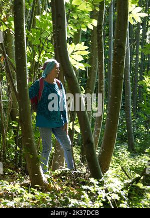 Frau in den Wäldern und Wald entspannend und Waldbaden Stockfoto