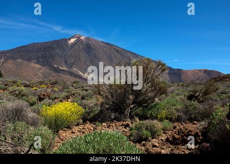 Der Teide, Teneriffa, Kanarische Inseln Stockfoto