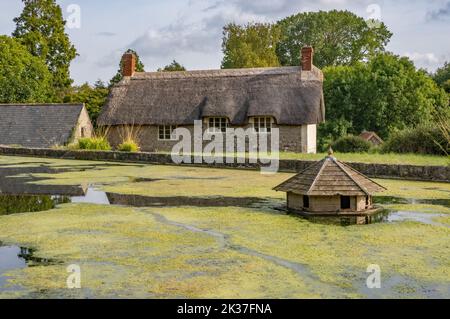 Der ententeich und Ente Haus im Dorf East Quantoxhead wo der Quantock hills die Küste in Somerset UK Treffen Stockfoto