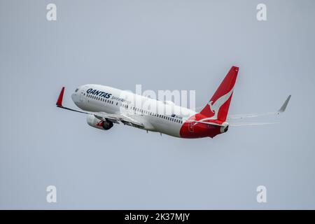 Qantas Airlines Boeing B737 ab Sydney Airport Stockfoto