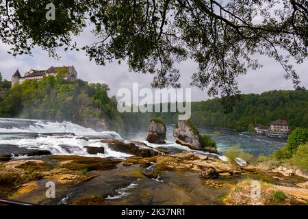 Rheinfall Europas größter Wasserfall, Kanton Schaffhausen, Schweiz. Stockfoto