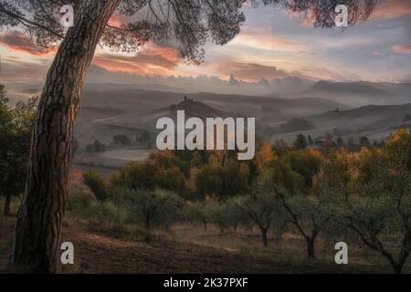 Herbst in Italien, Toskana, Val d'Orcia Stockfoto