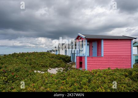 Pastellfarbene Strandhütten am Strand von Skanor, Grafschaft Scania, Südschweden. Stockfoto