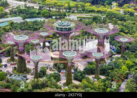 Der Supertree Grove in den Gardens by the Bay. Die Bäume enthalten Photovoltaikzellen, um Sonnenenergie zu sammeln, die den Betrieb der Gärten unterstützt. Republik Stockfoto
