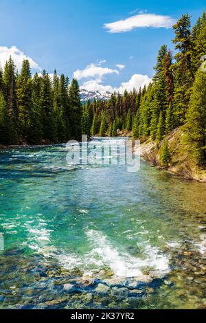 Maligne Lake Outlet Stream; Jasper National Park; Alberta; Kanada Stockfoto