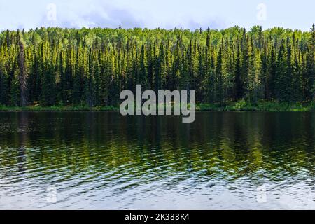 Fort Nelson River; Andy Bailey Regional Park; Muska-Kechika Management Area; südlich von Fort Nelson; British Columbia; Kanada Stockfoto