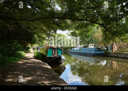 Der Grand Union Canal in der Nähe von Rickmansworth, Hertfordshire, Südostengland, im Spätsommer Stockfoto