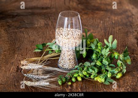 Malz in einem Glas mit Hopfen und Gerste Stockfoto