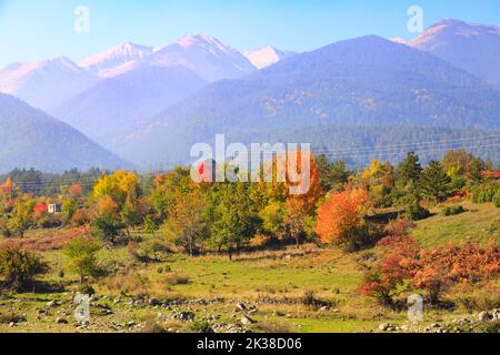 Herbst panorama Hintergrund des Pirin, Bulgarien mit bunten Grün, Rot und Gelb Bäume und Berge Gipfel Stockfoto