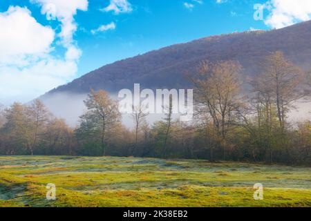 Landschaft auf einem nebligen Sonnenaufgang. Wunderbare Natur fallen Landschaft im Morgenlicht. Laubwald auf einer grünen Wiese im Nebel. Atemberaubende w Stockfoto