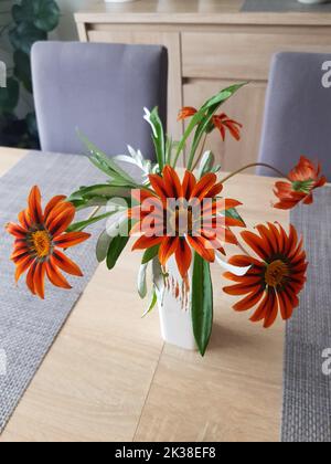 Gazania blüht in Vase auf dem Tisch Stockfoto