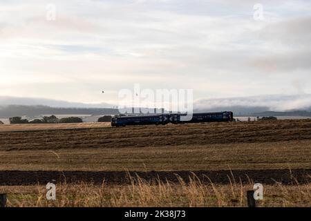 Getreidekörner, die in der Nähe von Dalmore angebaut werden, trainieren in der Inverness and Ross-Shire Railway, Invergordon, Easter Ross, in Ross and Cromarty, Highland, Schottland, Großbritannien Stockfoto