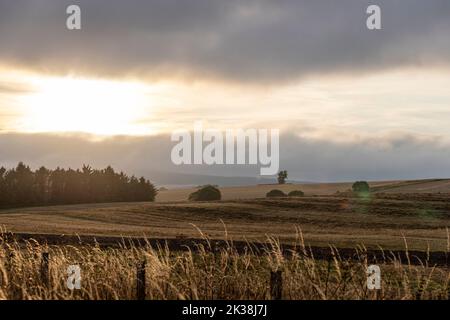 Invergordon, Easter Ross, in Ross and Cromarty, Highland, Schottland, Großbritannien Stockfoto