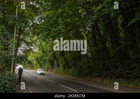 Tilehurst, Großbritannien. 25.. September 2022. Ein Blick über Kentwood Hill auf ein wildlebendes Waldgebiet, das vermutlich durch Vermessungsarbeiten und potenzielle Landrodung bedroht ist. Ein Teil des Geländes neben den Zuteilungen, das sich im Besitz von Tilehurst Poor's Land Charity (TPLC) befindet, wurde für den Wohnungsbau vorgesehen. Anwohner und Kleingärtner, die sich dafür einsetzen, Kentwood Green zu erhalten, damit das Land vor der Entwicklung geschützt wird, behaupten, dass die Anwesenheit von Dachsen, Füchsen, langsamen Würmern, Muntjac-Hirschen und Rotkiten auf dem Gelände aufgezeichnet wurde. Kredit: Mark Kerrison/Alamy Live Nachrichten Stockfoto