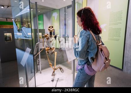 22. Juli 2022, Neanderthal Museum, Deutschland: Ein Mädchen hört sich einen Audioguide mit Kopfhörern an und schaut auf den menschlichen Erectus skeleon Stockfoto