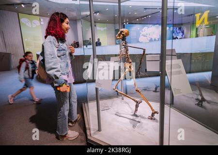 22. Juli 2022, Neanderthal Museum, Deutschland: Ein Mädchen hört sich einen Audioguide mit Kopfhörern an und schaut auf den menschlichen Erectus skeleon Stockfoto