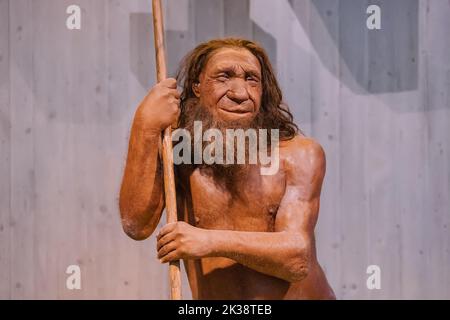 22. Juli 2022, Neanderthal Museum, Deutschland: Detaillierte Wachsfigur des Neanderthal-Höhlenmenschen mit Speer im Museum. Menschliche Sapiens Anthropologie Stockfoto