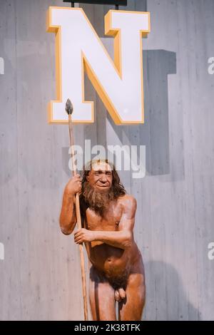 22. Juli 2022, Neanderthal Museum, Deutschland: Detaillierte Wachsfigur des Neanderthal-Höhlenmenschen mit Speer im Museum. Menschliche Sapiens Anthropologie Stockfoto