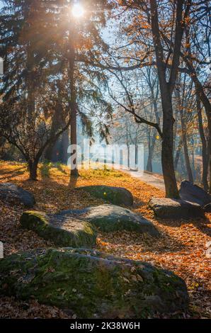 Malerischer Herbstpark. Farbenfrohe Herbstszene in Uman, Ukraine. Vertikales Foto Stockfoto