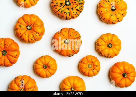 Kürbisse auf weißem, isoliertem Hintergrund. Gelbe Herbsternte Kürbisse auf leerem Hintergrund. Herbstferien, halloween, Danksagetag, Lebensmittelkonzept. Hochwertige Fotos Stockfoto