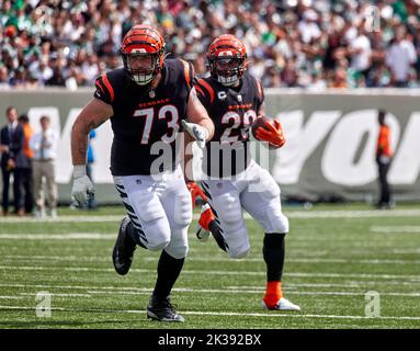 East Rutherford, New Jersey, USA. 25. September 2022. Cincinnati Bengals läuft zurück Joe Mixon (28) folgt Blocker Cincinnati Bengals setzt Jonah Williams (73) während eines NFL-Spiels im MetLife Stadium in East Rutherford, New Jersey, am Sonntag, 25. September 2022 gegen die New York Jets in Angriff. Cincinnati Bengals besiegte die New Jets 27-12. Duncan Williams/CSM/Alamy Live News Stockfoto