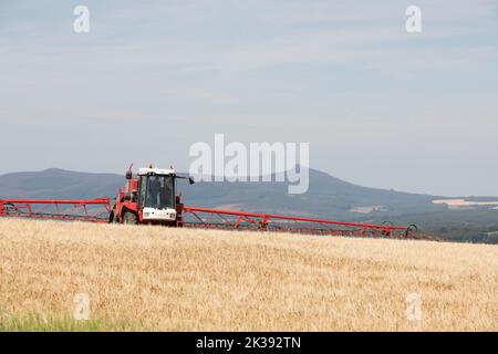 Ein selbstfahrender Bateman Crop Sprayer, der an einem sonnigen Sommertag ein Getreidefeld in Aberdeenshire besprühte, wobei Bennachie im Hintergrund zu sehen ist Stockfoto