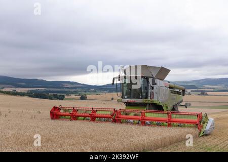 Ein Combine Harvesting Gerste an einem bewölkten Abend mit Blick auf die umliegende Landschaft Stockfoto