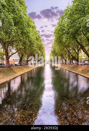 Königsallee - eine beliebte touristische und historische Attraktion der Stadt Düsseldorf in Deutschland. Ein Kanal mit Platanen und einem modischen Geschäft Stockfoto