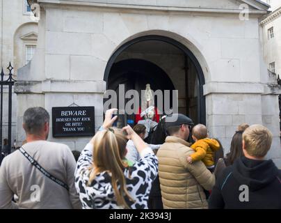Berittene Rettungsschwimmer bei der Parade der Roten Tunika-Horse Guards in Whitehall London Stockfoto