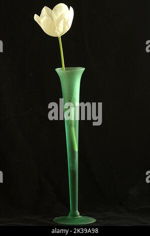 Blumen in einer Vase (Freesia, Tulpe, Orchidee) Stockfoto