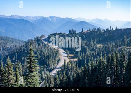 Hurricane Ridge Road schlängelt sich am sonnigen Herbstnachmittag durch immergrüne Wälder im Olympic National Park, Washington. Stockfoto