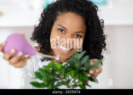 Die Pflege von handgefertigten Draht Bonsai Baum Modell Stockfoto