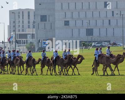 Polizei auf Kamel in traditioneller Kleidung in Doha, Katar. Doha hat eine einzigartige Polizeieinheit, die traditionelle arabische Kostüme trägt. Stockfoto