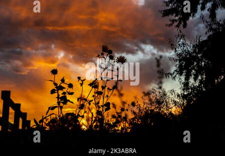 Colorado Living. Centennial, Colorado - Denver Metro Gegend Wohn Fall Sonnenuntergang Sky View Stockfoto