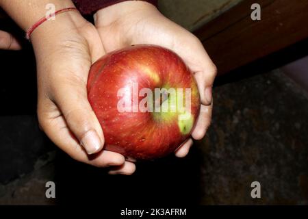 Frischer roter süßer Apfel in beiden Händen Stockfoto