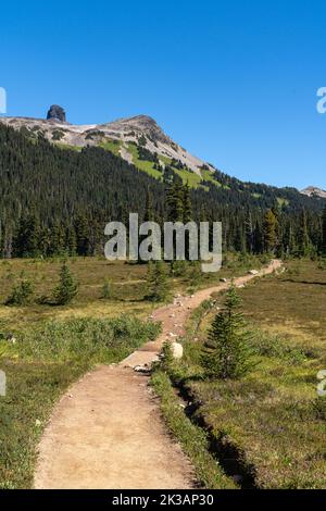 Der Weg nach Black Tusk schlängelt sich durch die malerischen Wiesen des Garibaldi Parks in British Columbia. Stockfoto