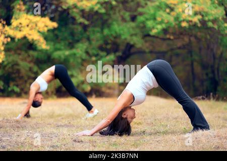 Zwei Frauen machen gemeinsam Yoga in einem Park. Stockfoto