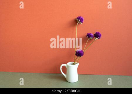 Vase aus lila Globus Amaranth trockene Blumen auf khaki Tisch. Rote Wand Hintergrund. Home Innendekoration Stockfoto