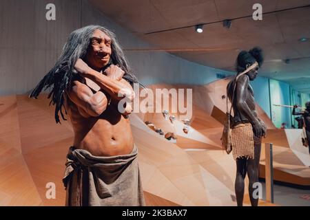 22. Juli 2022, Neandertalmuseum, Deutschland: Detaillierte Wachsfiguren des Neandertalers und eines prähistorischen Höhlenmenschen im Museum. Homo Sapiens Anthropologie scie Stockfoto